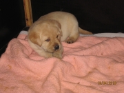 img_0240_large.jpg