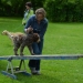 HindernissemitdemWelpenüberwindengibtdemHundekindVertrauen