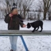HindernissemitdemWelpenüberwindengibtdemHundekindVertrauen