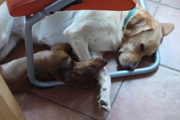 Mittagspause bei Summer und Co.