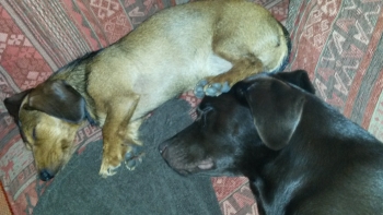 Emilio mit Retterin Fee