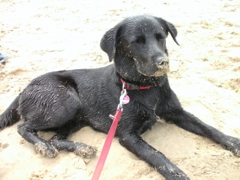 Frida am Strand.