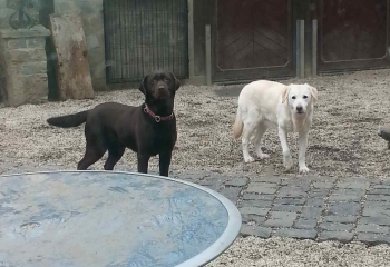 Klara mit Freundin Tine
