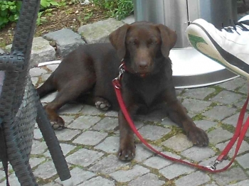 Iden macht Pause