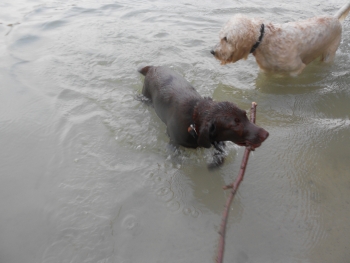 Iden beim Wasserspiel 3