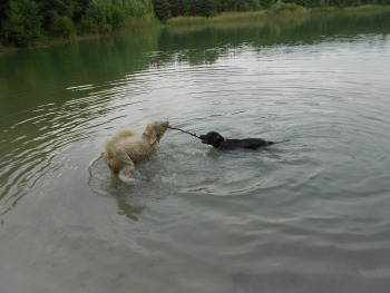 Iden beim Wasserspiel 2