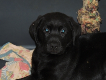 10.10.2016