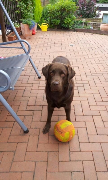 Aaron mit Ball