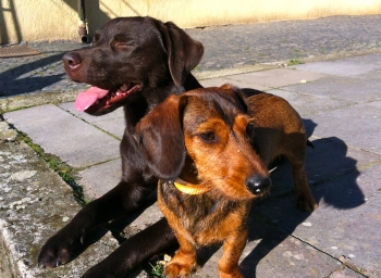 Emilio mit Retterin Fee