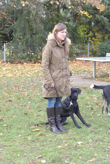 Die Vorbereitung, Frauchen und Yaro bei der Unterordnungsarbeit