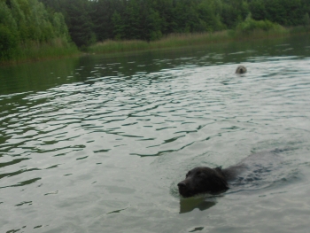 Iden beim Wasserspiel 4